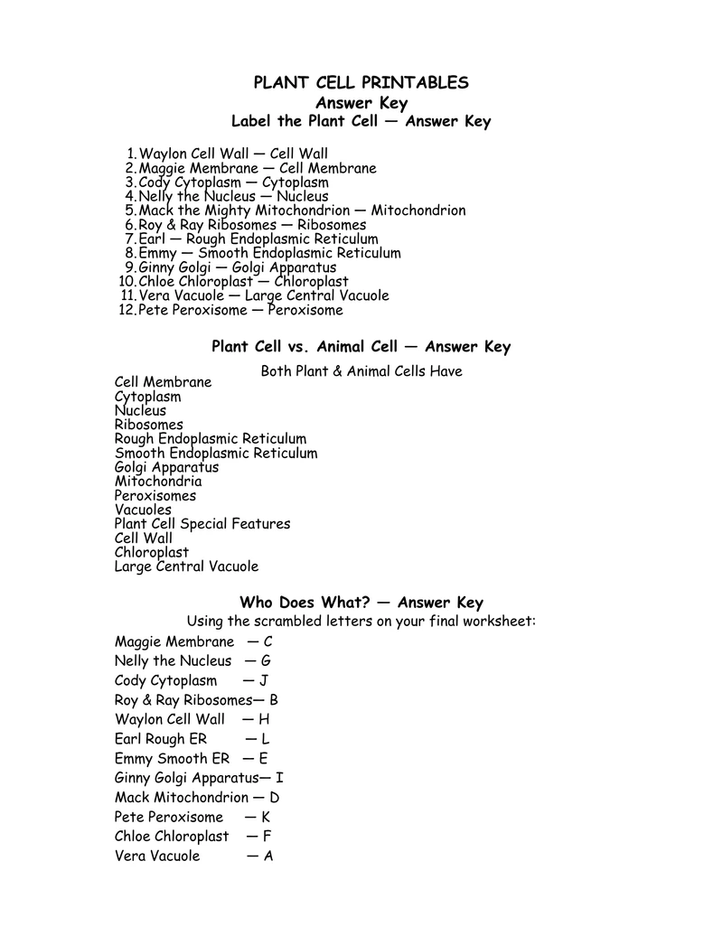 Answer Key
