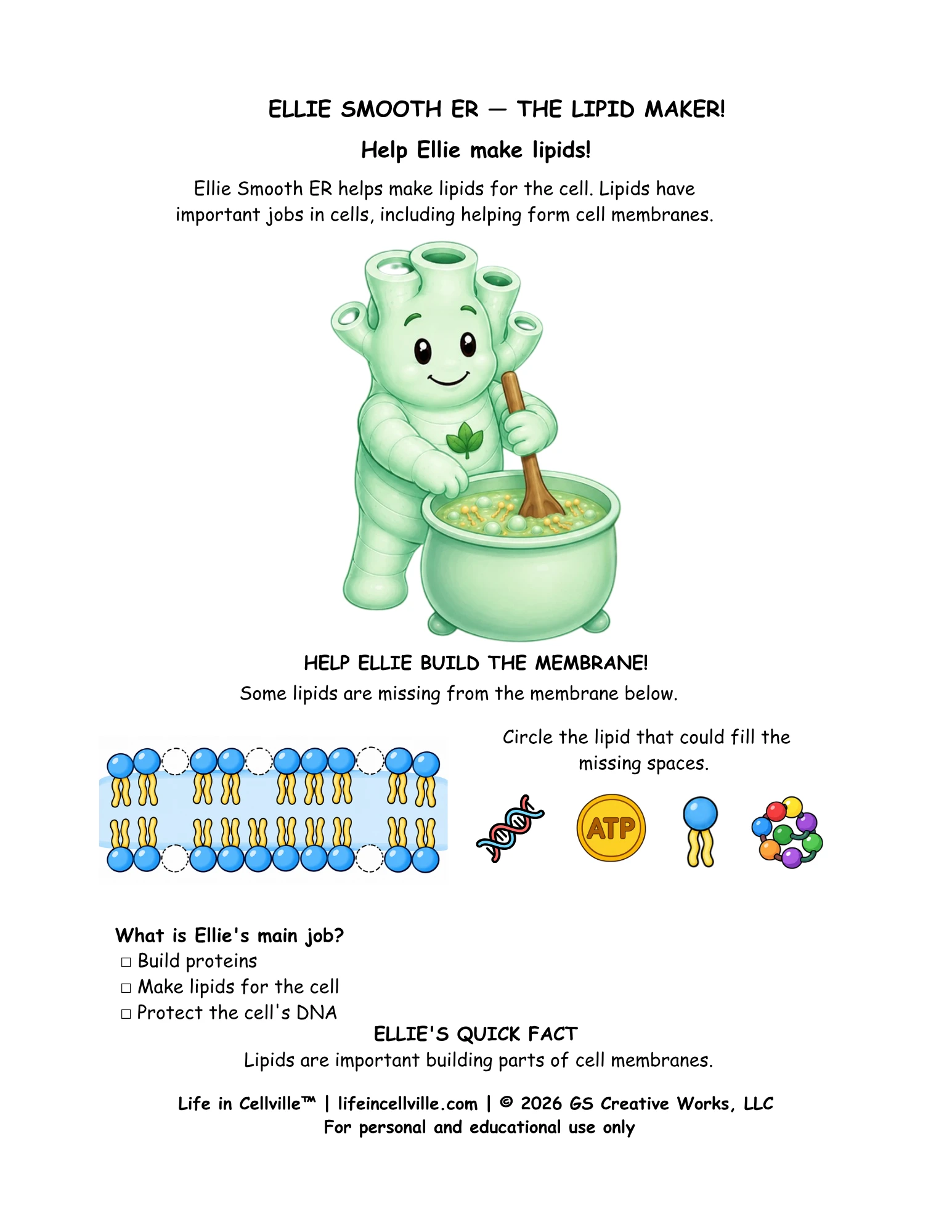 Ellie Smooth ER: Activity Page