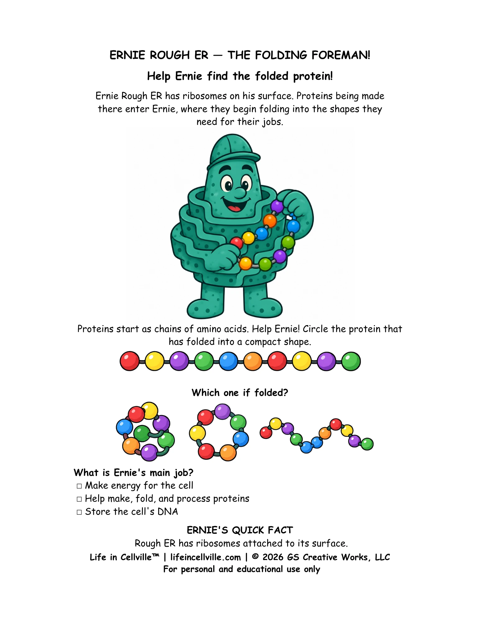 Ernie Rough ER: Activity Page