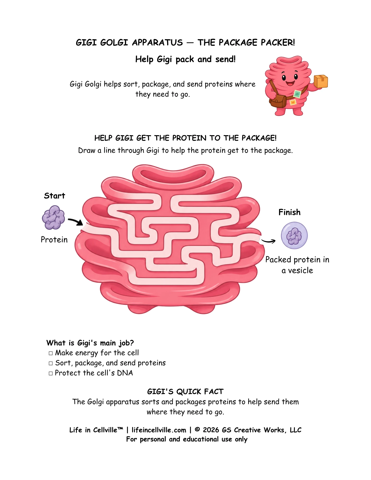 Gigi Golgi: Activity Page