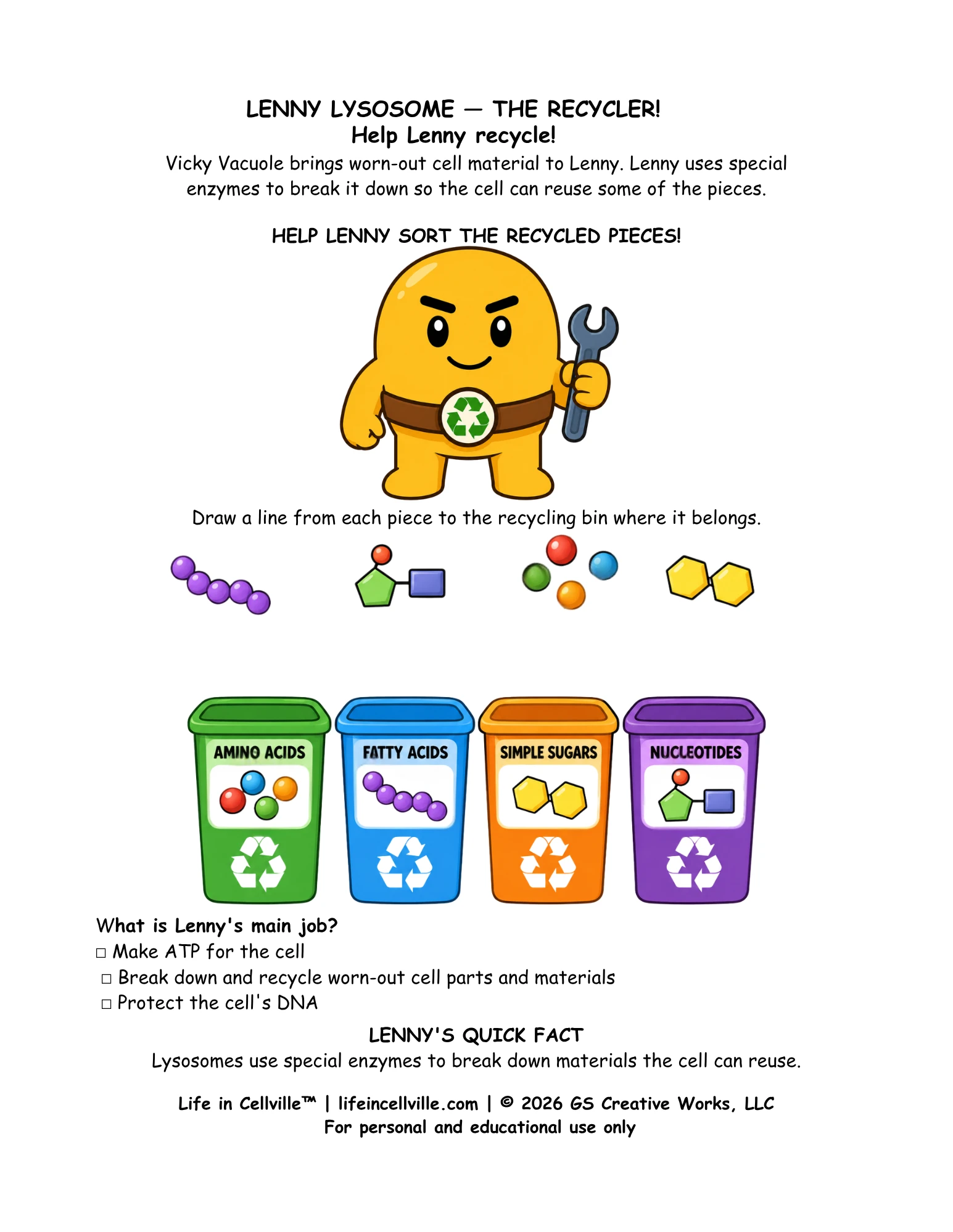 Lenny Lysosome: Activity Page