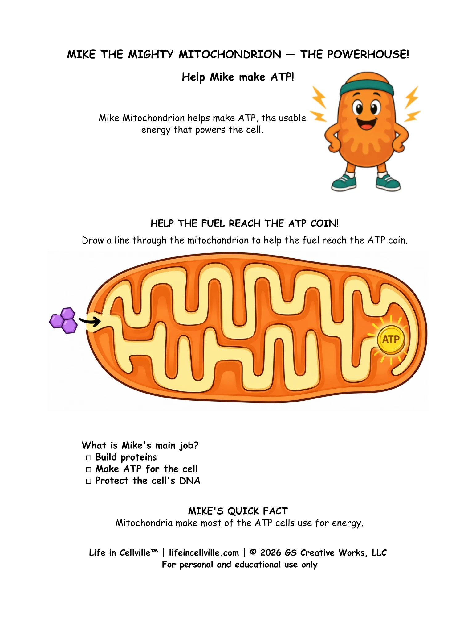 Mike Mitochondria: Activity Page