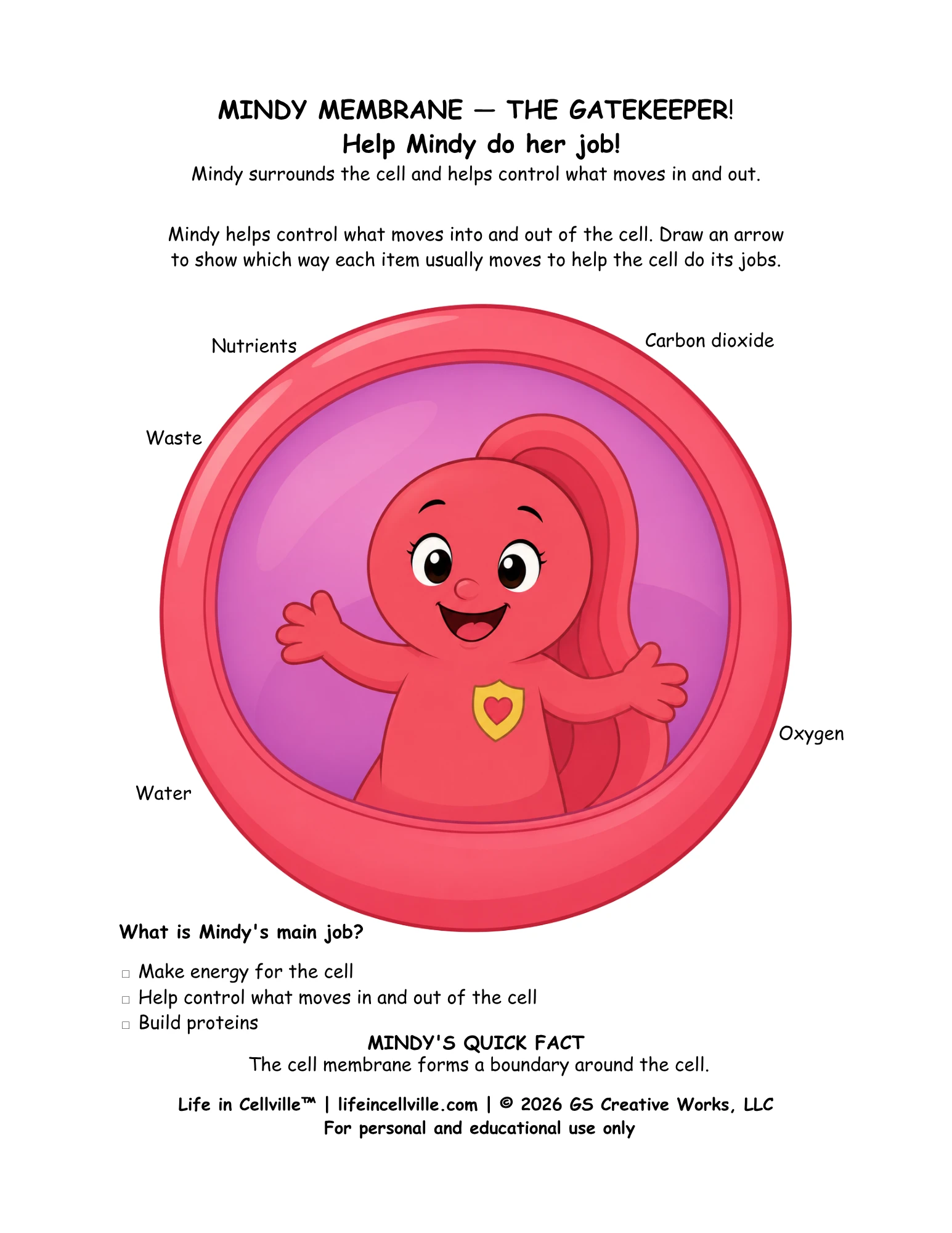 Mindy Membrane: Activity Page