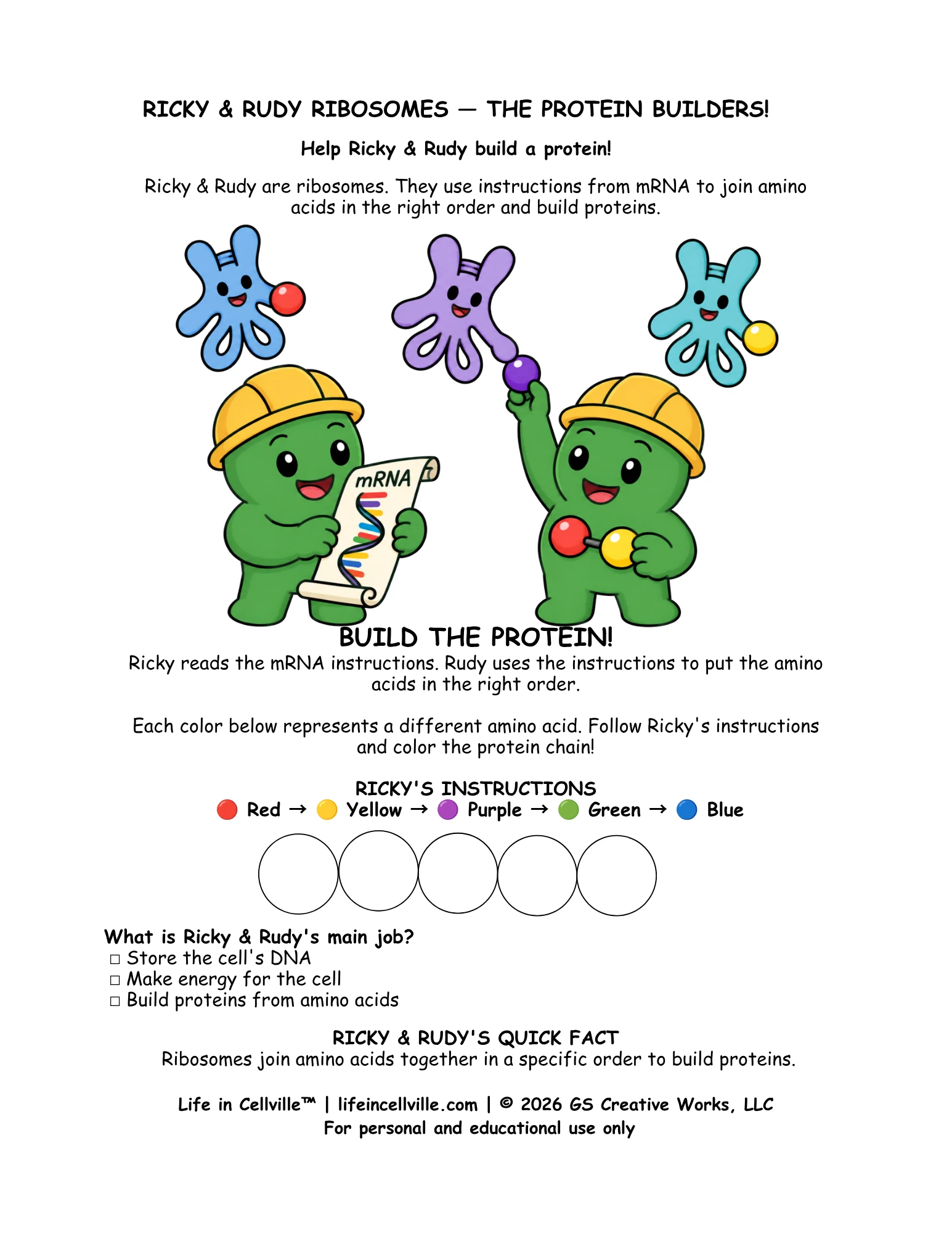 Ricky & Rudy Ribosomes: Activity Page