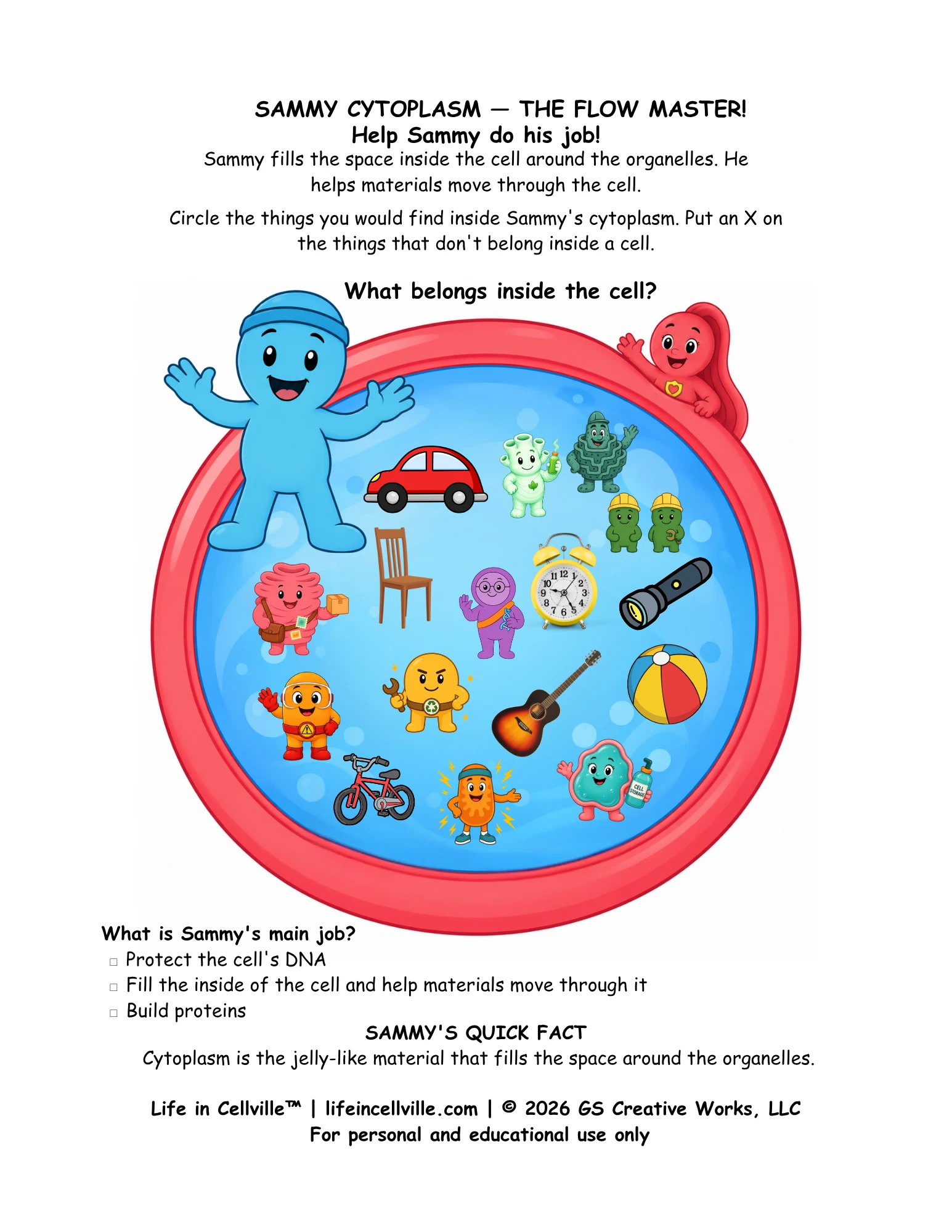 Sammy Cytoplasm: Activity Page
